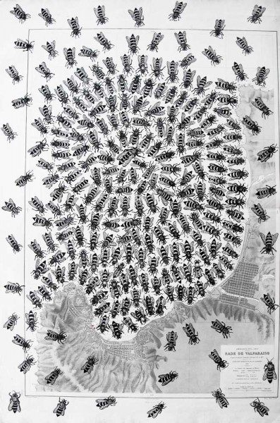 Les abeilles, encre de chine sur carte maritime, Saïssi