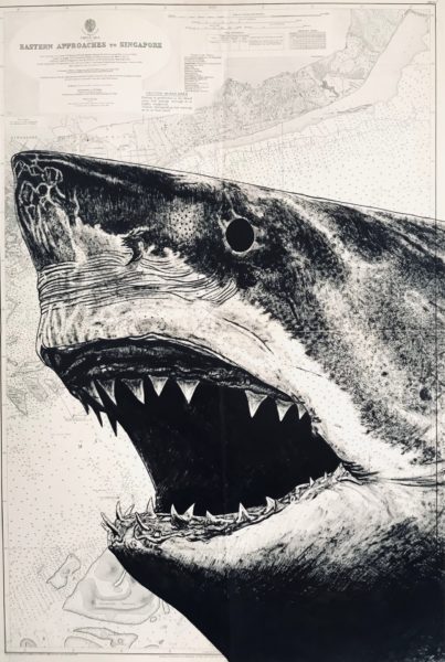 Requin, encre de chine sur carte marine, 110x70cm, 2022